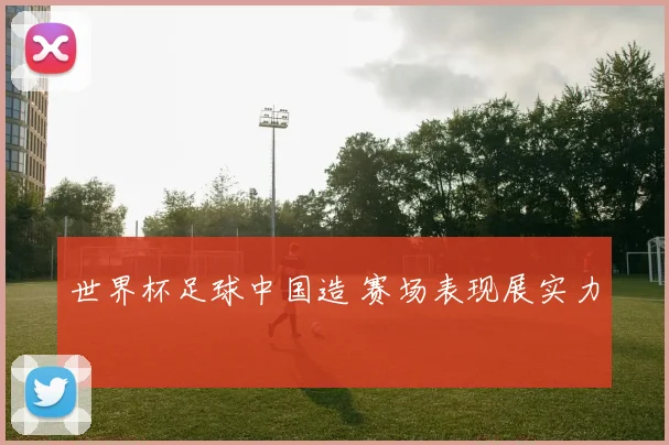 世界杯足球中国造 赛场表现展实力